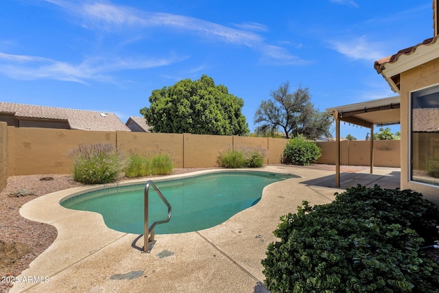view of pool featuring a fenced backyard, a fenced in pool, and a patio