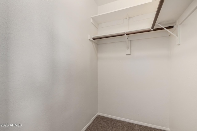 walk in closet with carpet floors