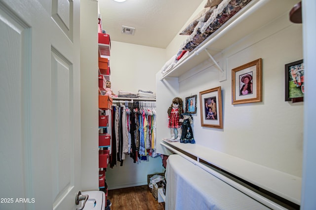 spacious closet featuring dark wood-type flooring