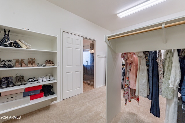 spacious closet featuring light carpet