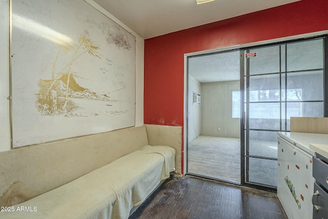 interior space with dark wood-type flooring