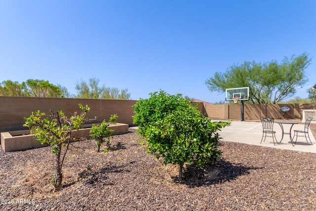view of yard with fence, basketball hoop, and a vegetable garden