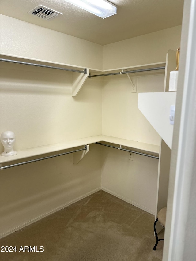 spacious closet featuring light colored carpet