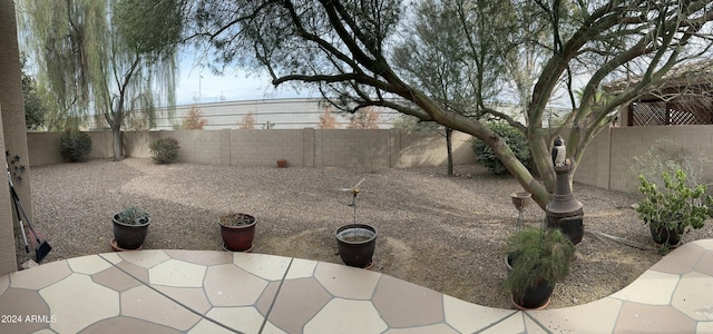 view of yard with a patio