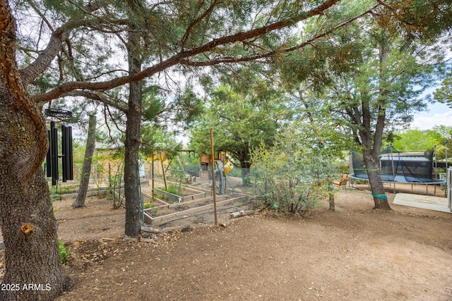 730 Mingus Ave, Prescott, AZ 86301 - view of yard featuring a trampoline and a garden