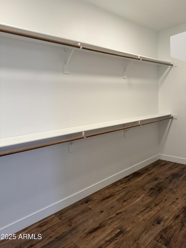 33220 N 60th Way, Scottsdale, AZ 85266 - walk in closet with dark wood-style floors