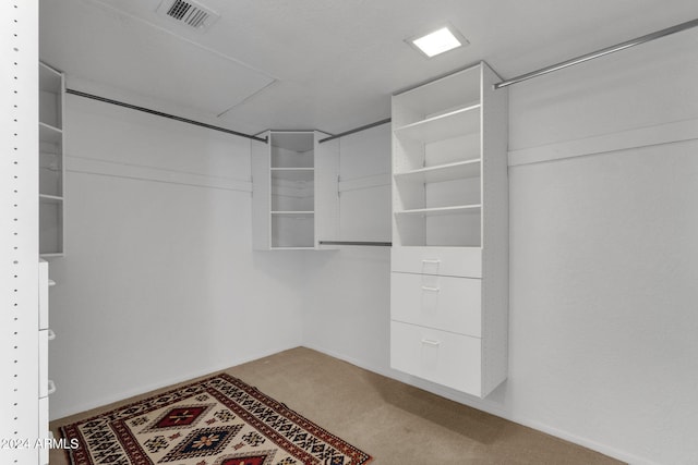 spacious closet featuring carpet flooring