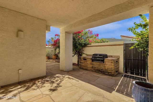 view of patio with a grill and an outdoor kitchen