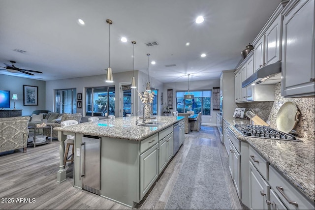 kitchen with tasteful backsplash, light wood-style floors, appliances with stainless steel finishes, under cabinet range hood, and a sink