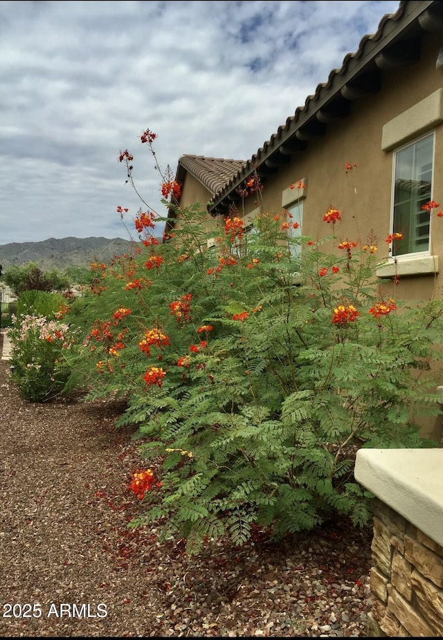 view of yard featuring a mountain view