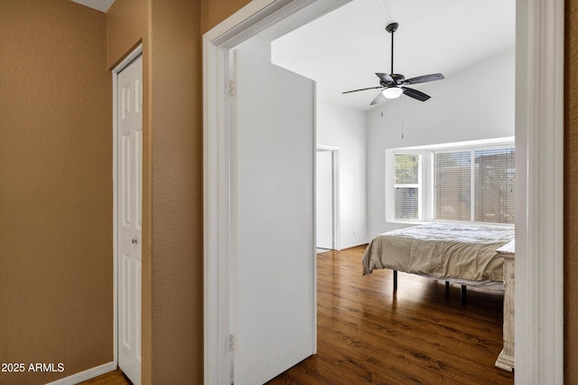 1245 W Cindy St, Chandler, AZ 85224 - bedroom with wood finished floors and a ceiling fan