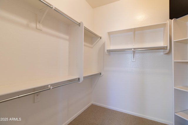 4241 E Andre Ave, Gilbert, AZ 85298 - spacious closet featuring carpet flooring