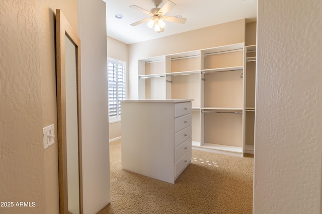4241 E Andre Ave, Gilbert, AZ 85298 - spacious closet featuring carpet floors and ceiling fan