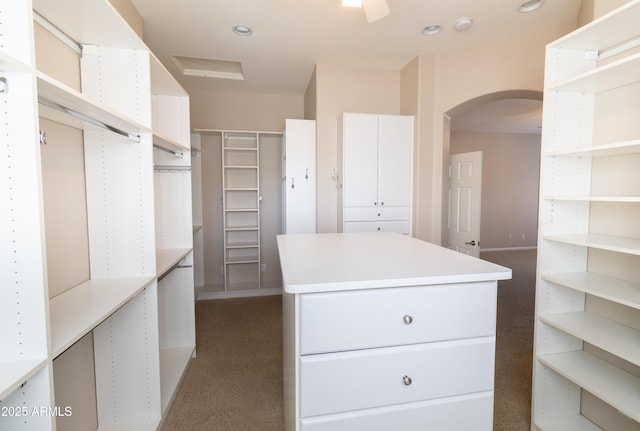 4241 E Andre Ave, Gilbert, AZ 85298 - spacious closet with arched walkways and carpet floors