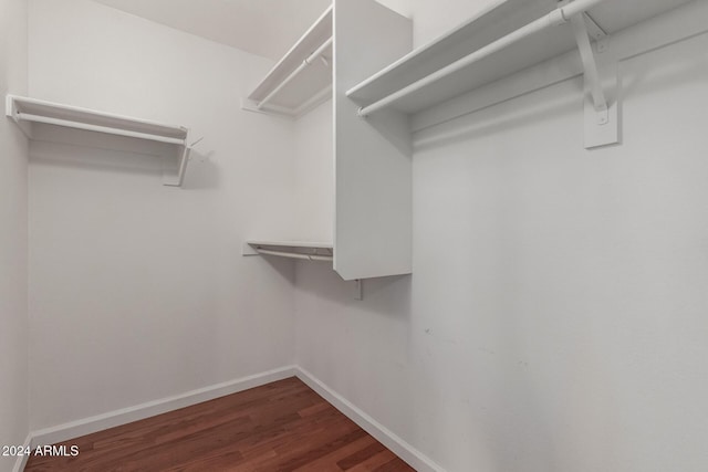 walk in closet featuring dark hardwood / wood-style floors