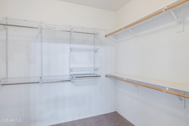 11669 N 165th Ave, Surprise, AZ 85388 - walk in closet featuring carpet floors