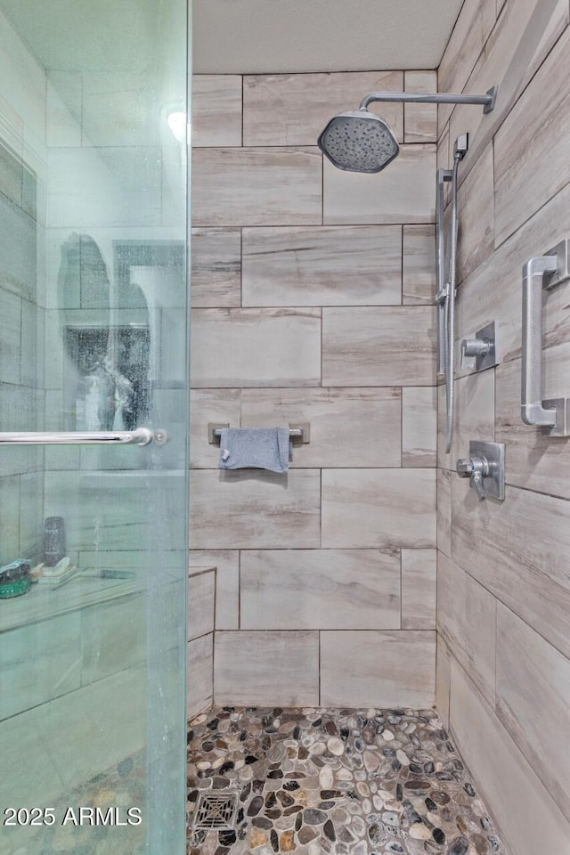 20769 N 106th Ln, Peoria, AZ 85382 - full bathroom featuring a stall shower