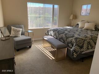 bedroom with multiple windows and carpet floors