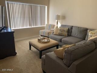 living area featuring baseboards and carpet