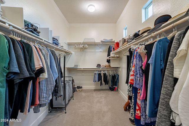 walk in closet featuring light carpet