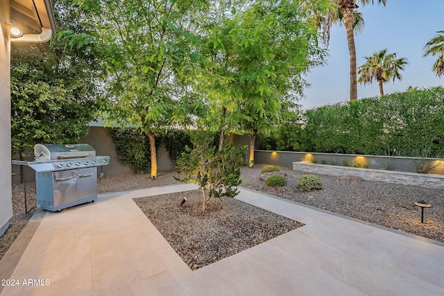 view of patio featuring grilling area