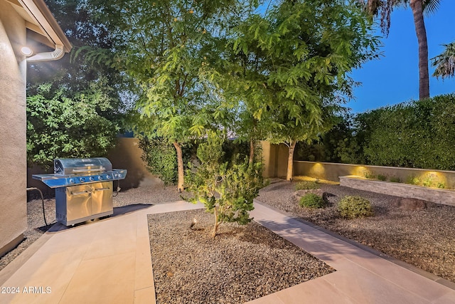 view of yard with a patio area