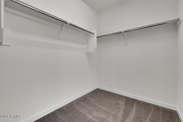 spacious closet with dark colored carpet