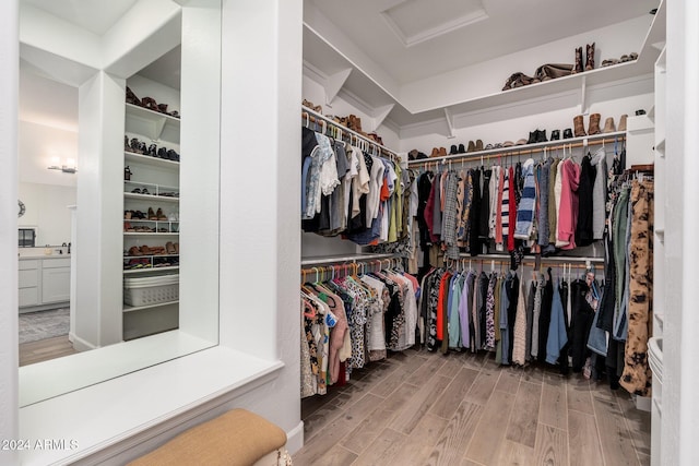 walk in closet with hardwood / wood-style floors