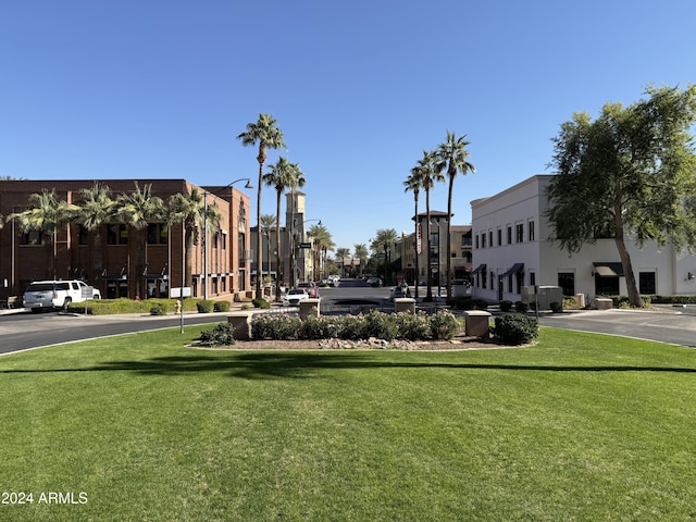 view of community with a yard