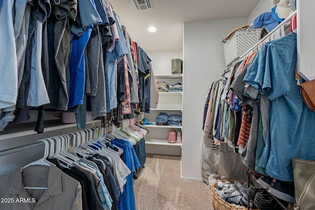 spacious closet with carpet