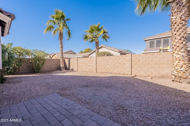 view of yard with a patio