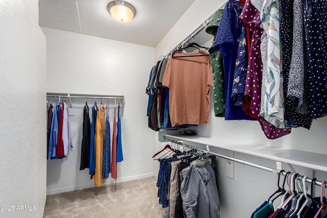 spacious closet featuring carpet floors