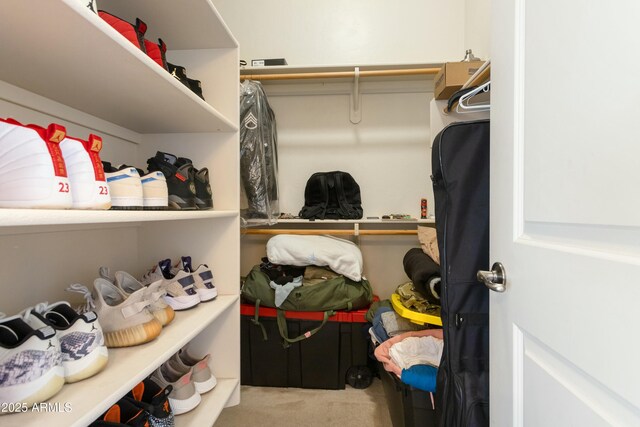 spacious closet featuring carpet