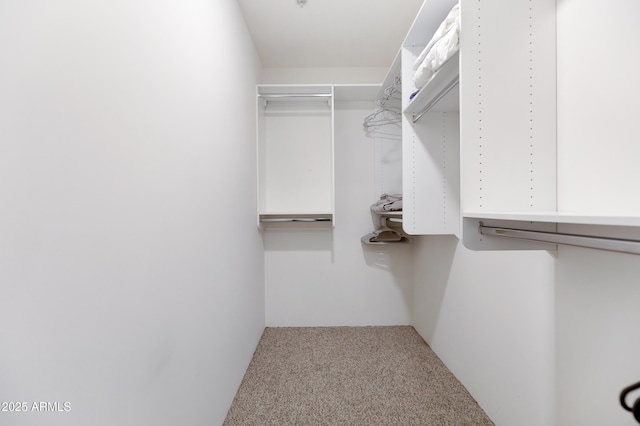 spacious closet with carpet floors