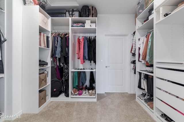 spacious closet with light carpet