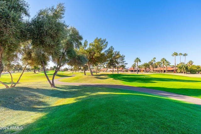 view of property's community featuring a yard