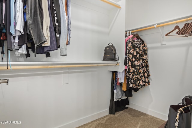 spacious closet featuring carpet