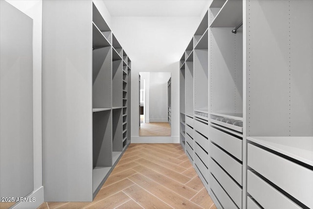 3354 E Jaeger Cir, Mesa, AZ 85213 - spacious closet with light wood-style flooring