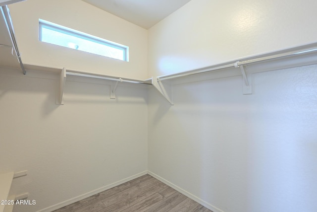 3451 S Wren Dr, Gilbert, AZ 85297 - walk in closet with light wood-style flooring