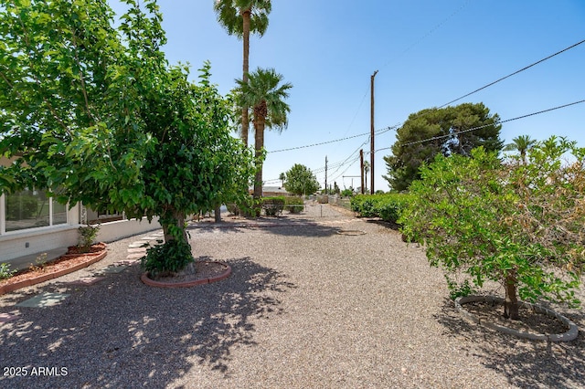 11220 N 109th Ave, Sun City, AZ 85351 - view of yard