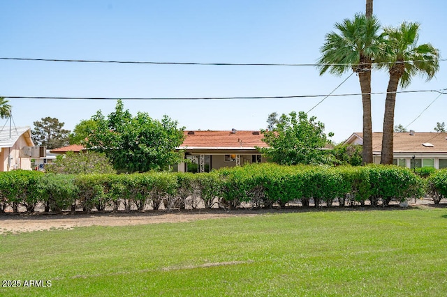 11220 N 109th Ave, Sun City, AZ 85351 - view of grassy yard