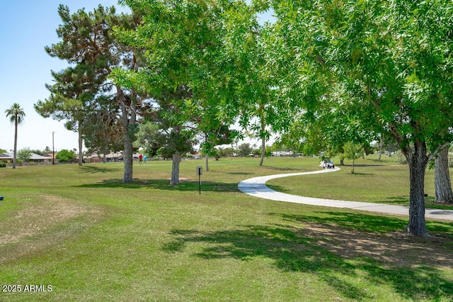 11220 N 109th Ave, Sun City, AZ 85351 - surrounding community with a yard