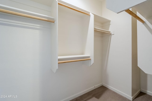 walk in closet featuring carpet floors