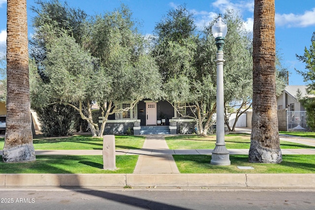 obstructed view of property with a front yard