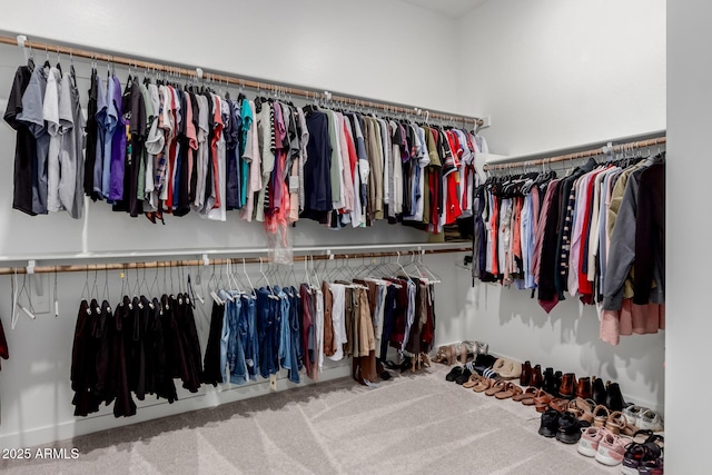 3852 E Bartlett Way, Chandler, AZ 85249 - walk in closet featuring carpet