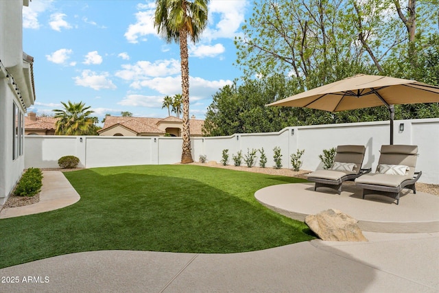 view of yard with a patio and a fenced backyard