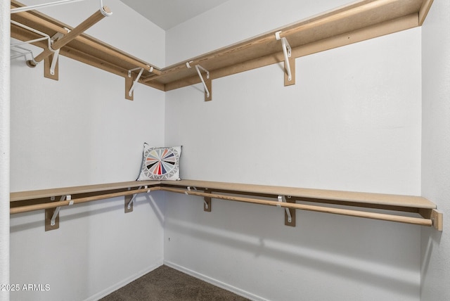 walk in closet featuring dark colored carpet