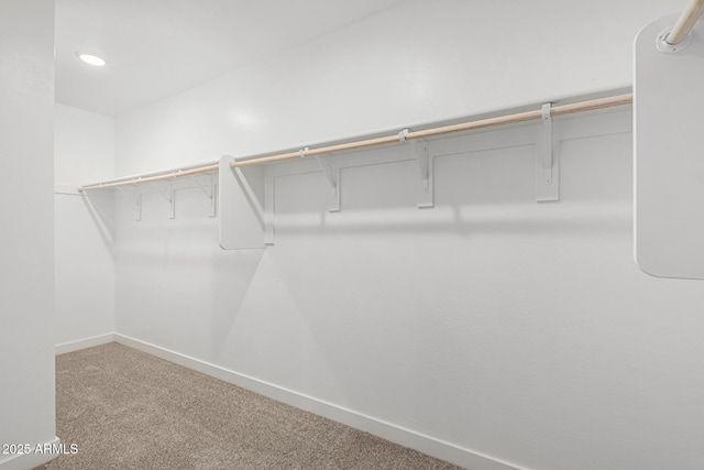 walk in closet featuring carpet flooring