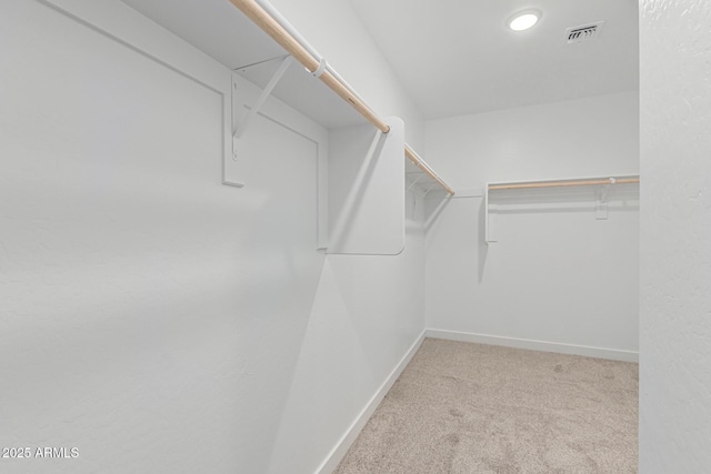 spacious closet with light carpet