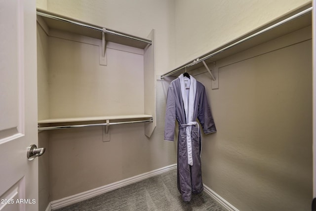 spacious closet featuring carpet floors